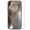Elephant Theme Tempered Glass Back Case Mobile Phone Cover